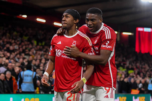 案例是哈尔 案例是哈尔