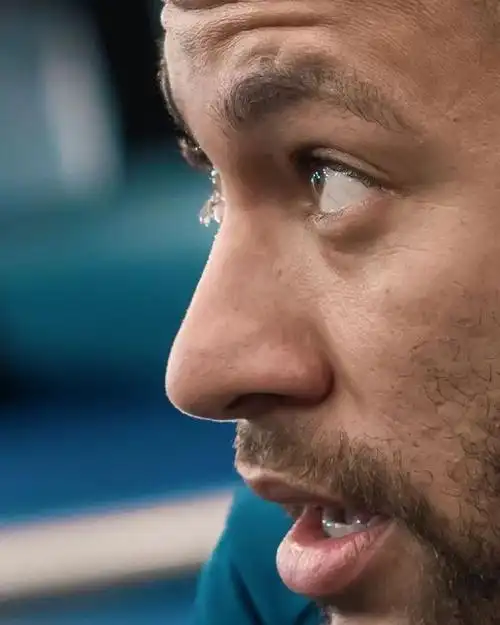 充满活力的 充满活力的